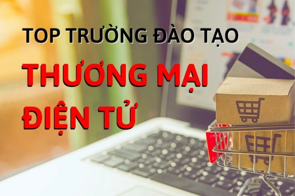 Tổng Quan Về Ngành Thương Mại Điện Tử