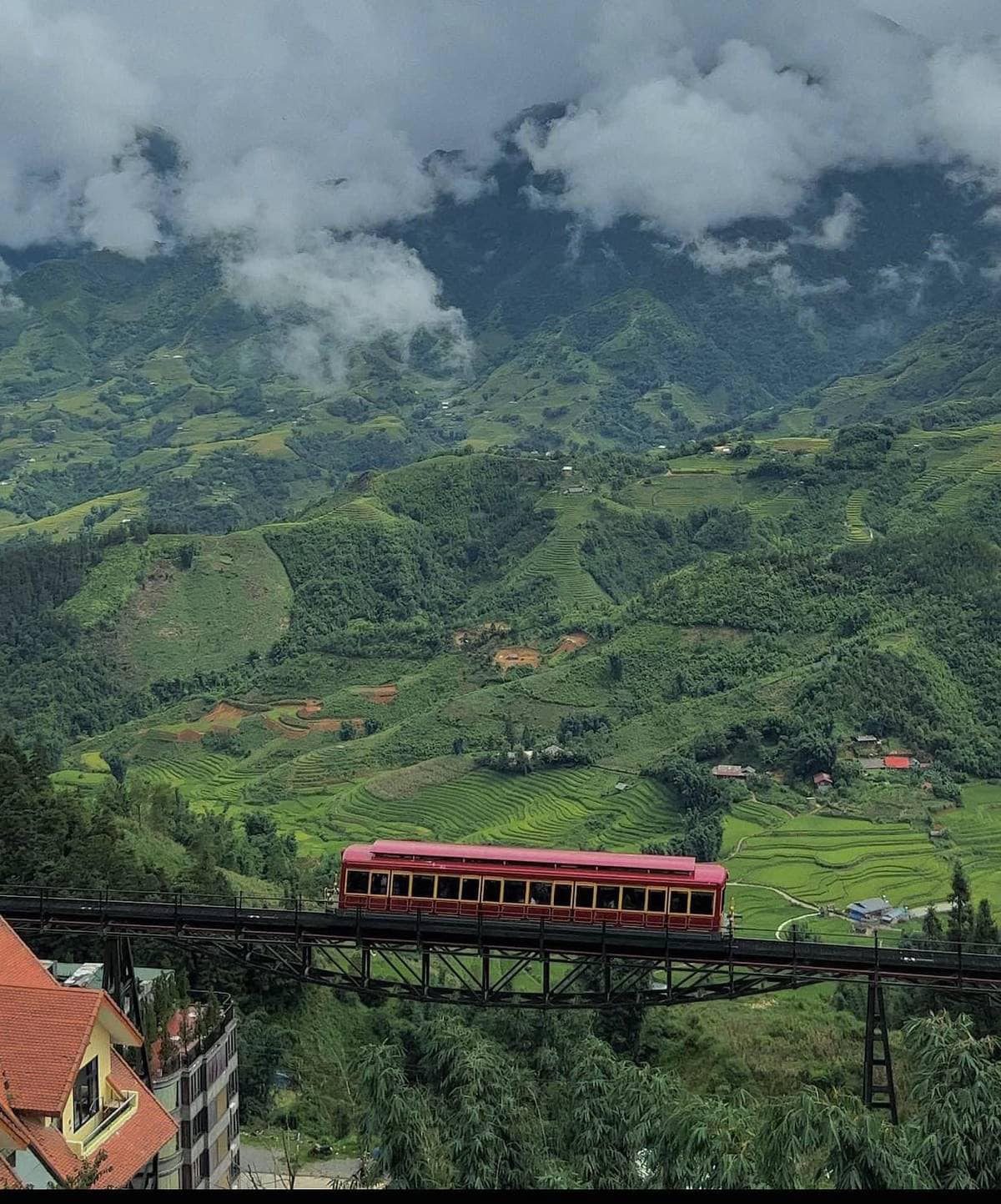 527116302 776397758077439 1014792035670583486 N