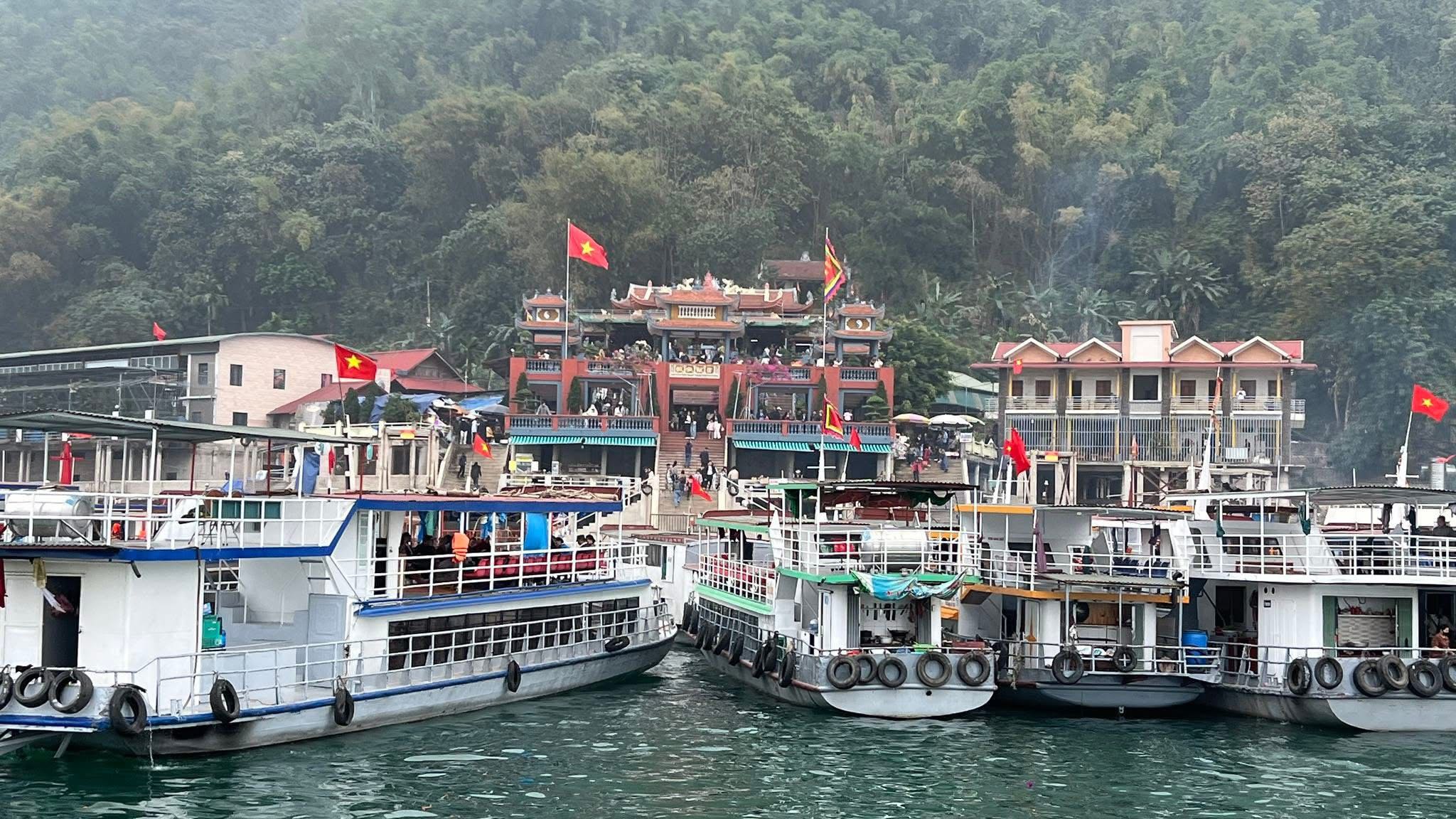 486536903 1690596324909102 910549345488052540 N