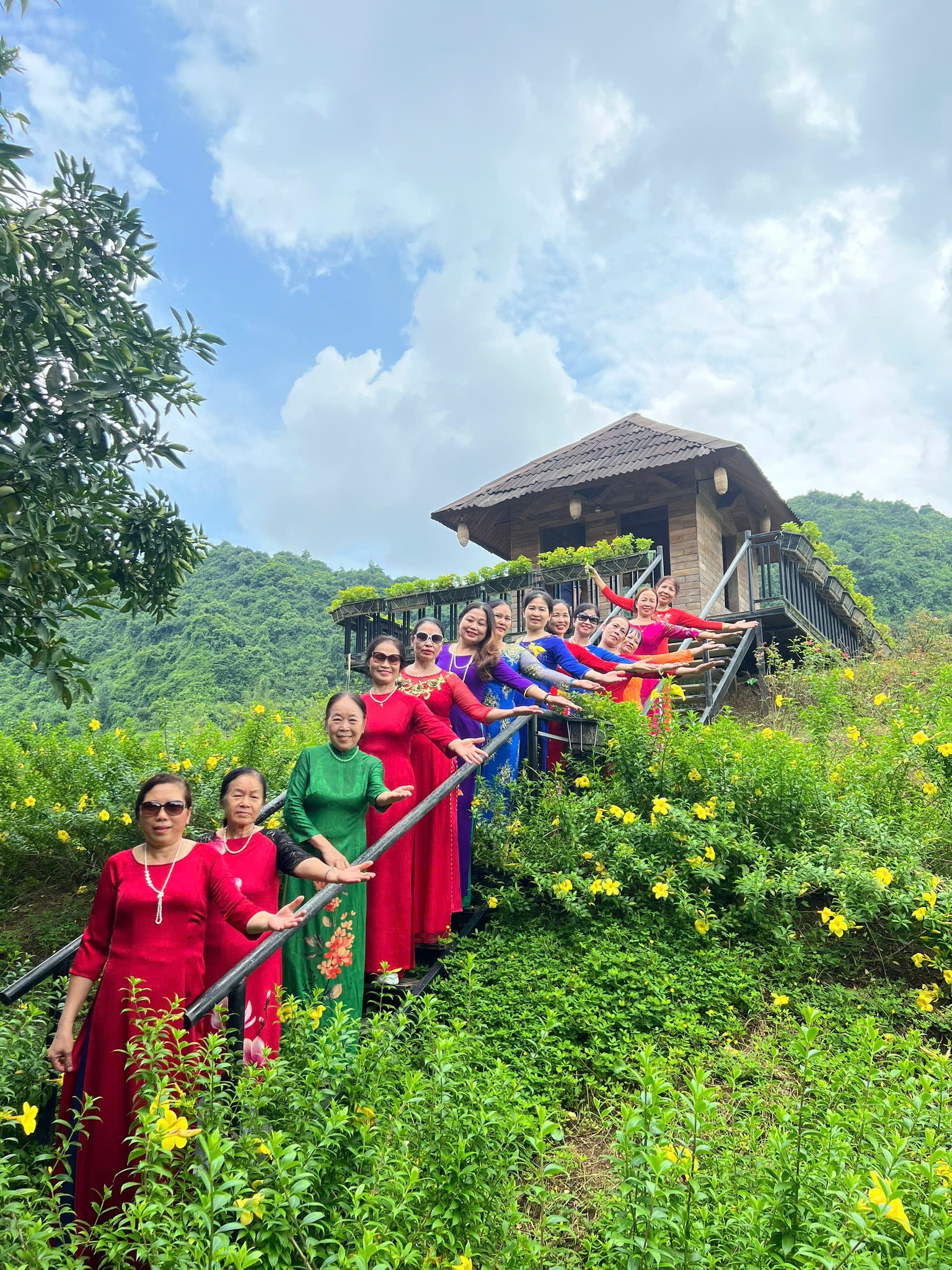 488685304 1117847930363806 1532796237484319817 N