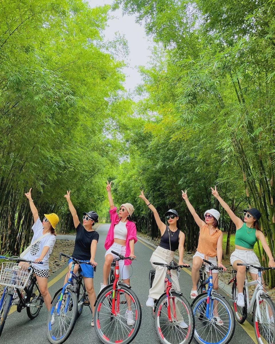 563447424 2517545888630962 73355730628849591 N