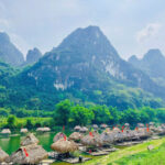 529169935 122161862678488071 993618416481257888 N